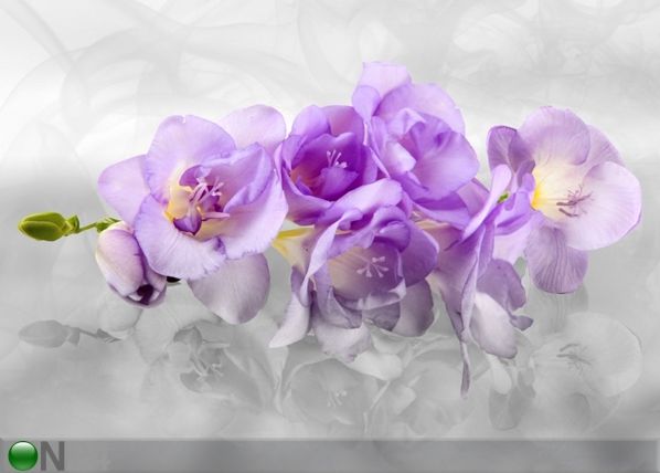 Fleece-kuvatapetti 3D ORCHID 360x270 cm