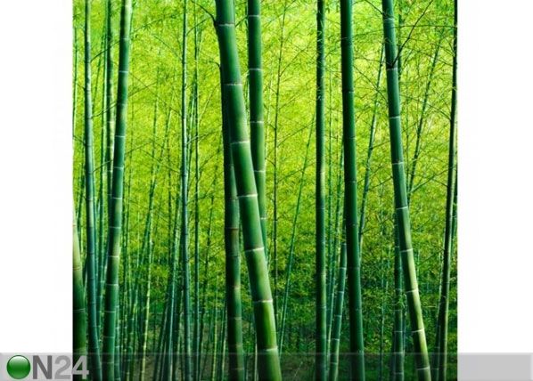 Fleece-kuvatapetti BAMBOO FOREST
