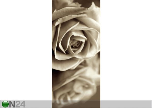Fleece kuvatapetti BLACK AND WHITE ROSE 90x202 cm