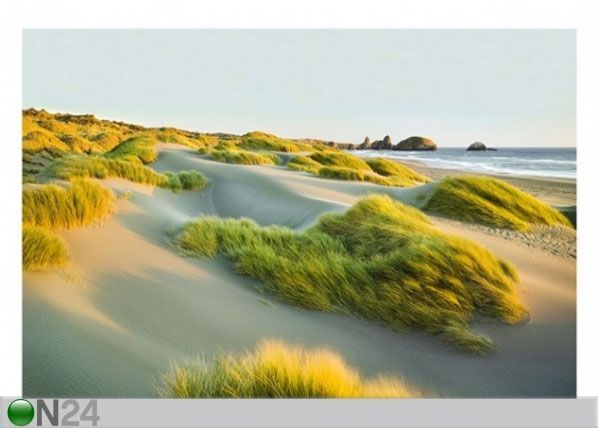 Fleece-kuvatapetti DUNES AND GRASSES AT THE SEA