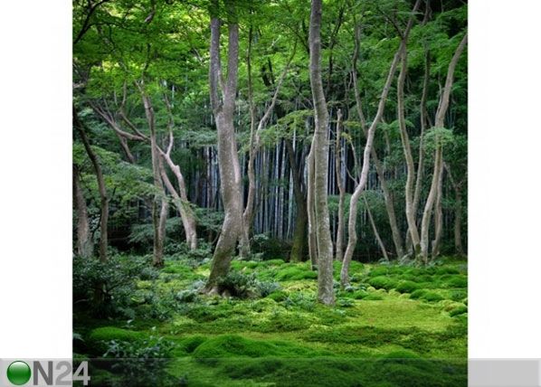 Fleece-kuvatapetti JAPANESE FOREST