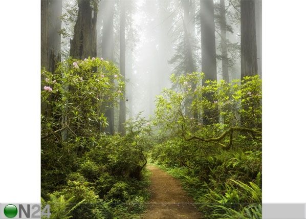 Fleece-kuvatapetti MISTY FOREST PATH