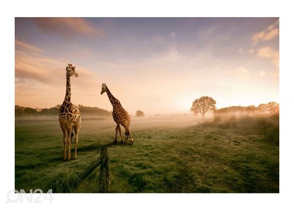 Fleece-kuvatapetti SURREAL GIRAFFE 190x288 cm