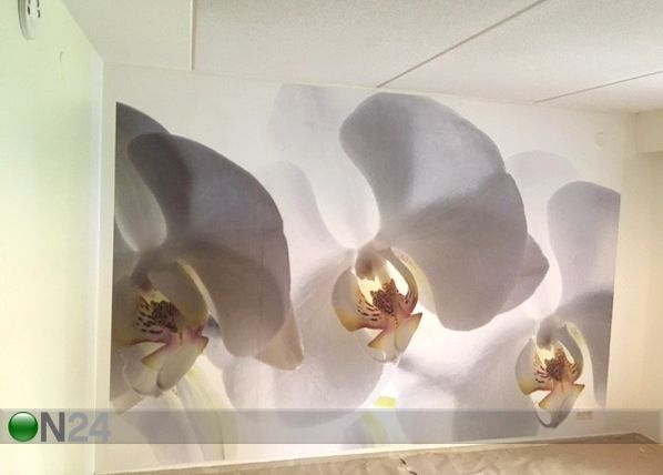 Fleece-kuvatapetti WHITE ORCHID 360x270 cm