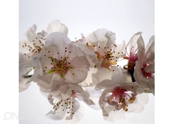 Fotoverho FLOWERS 280x245 cm