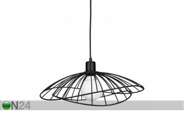 Kattovalaisin Ray