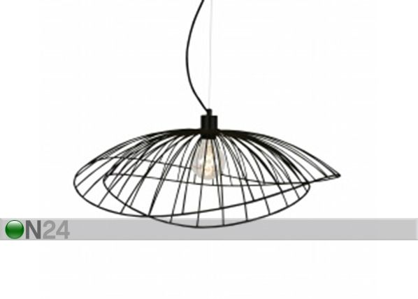 Kattovalaisin Ray
