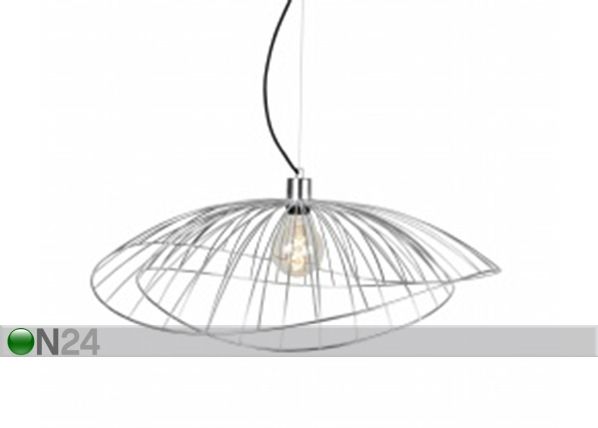 Kattovalaisin Ray