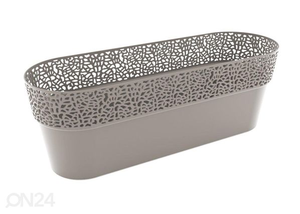 Kukkaruukku ROSA