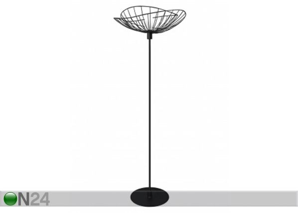 Lattiavalaisin Ray