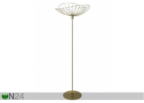Lattiavalaisin Ray