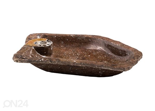 Pesuallas marmoria