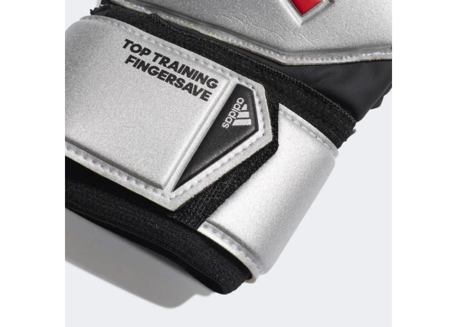 Aikuisten maalivahdin hanskat adidas Predator TTRN FS DY2608 kuvasuurennos