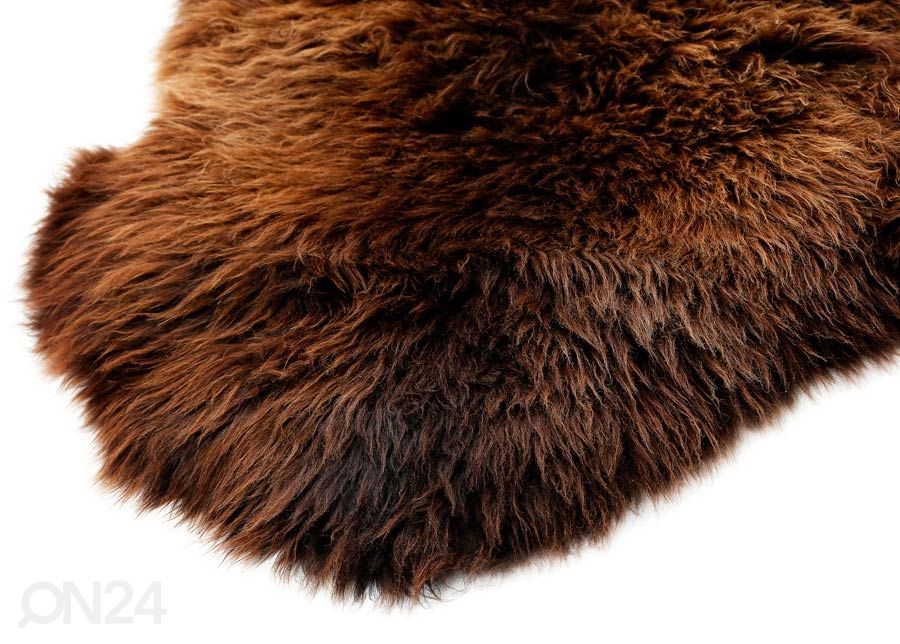 Aito lampaantalja British natural brown 60x90 cm kuvasuurennos