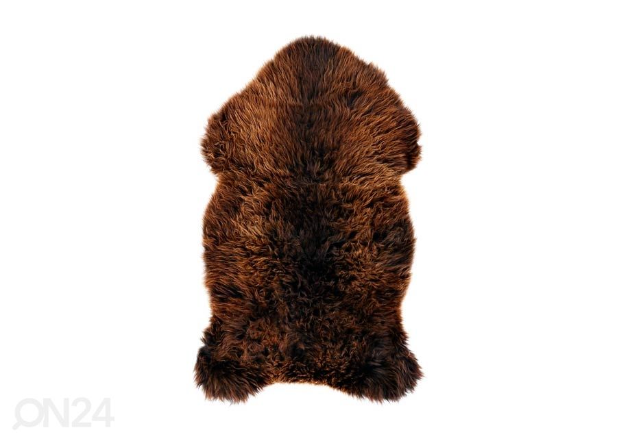 Aito lampaantalja British natural brown 60x90 cm kuvasuurennos