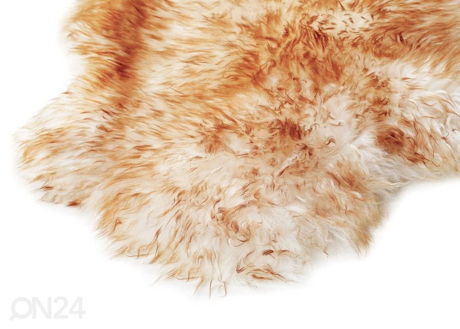 Aito lampaantalja British white-brown 60x90 cm kuvasuurennos
