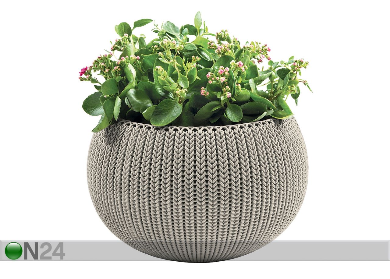 Amppeli KETER COZIES suuri, beige Ø36 x h23 cm kuvasuurennos