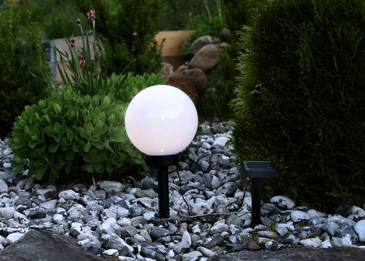 Aurinkokennovalaisin 20 cm kuvasuurennos