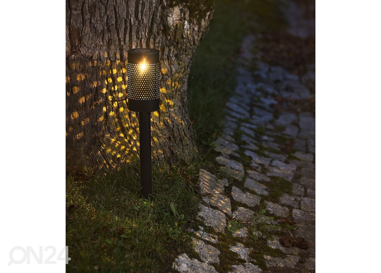 Aurinkokennovalaisin Blace kuvasuurennos