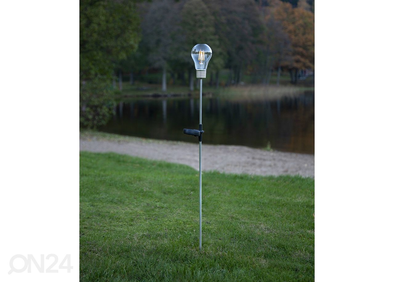 Aurinkokennovalaisin Fille kuvasuurennos