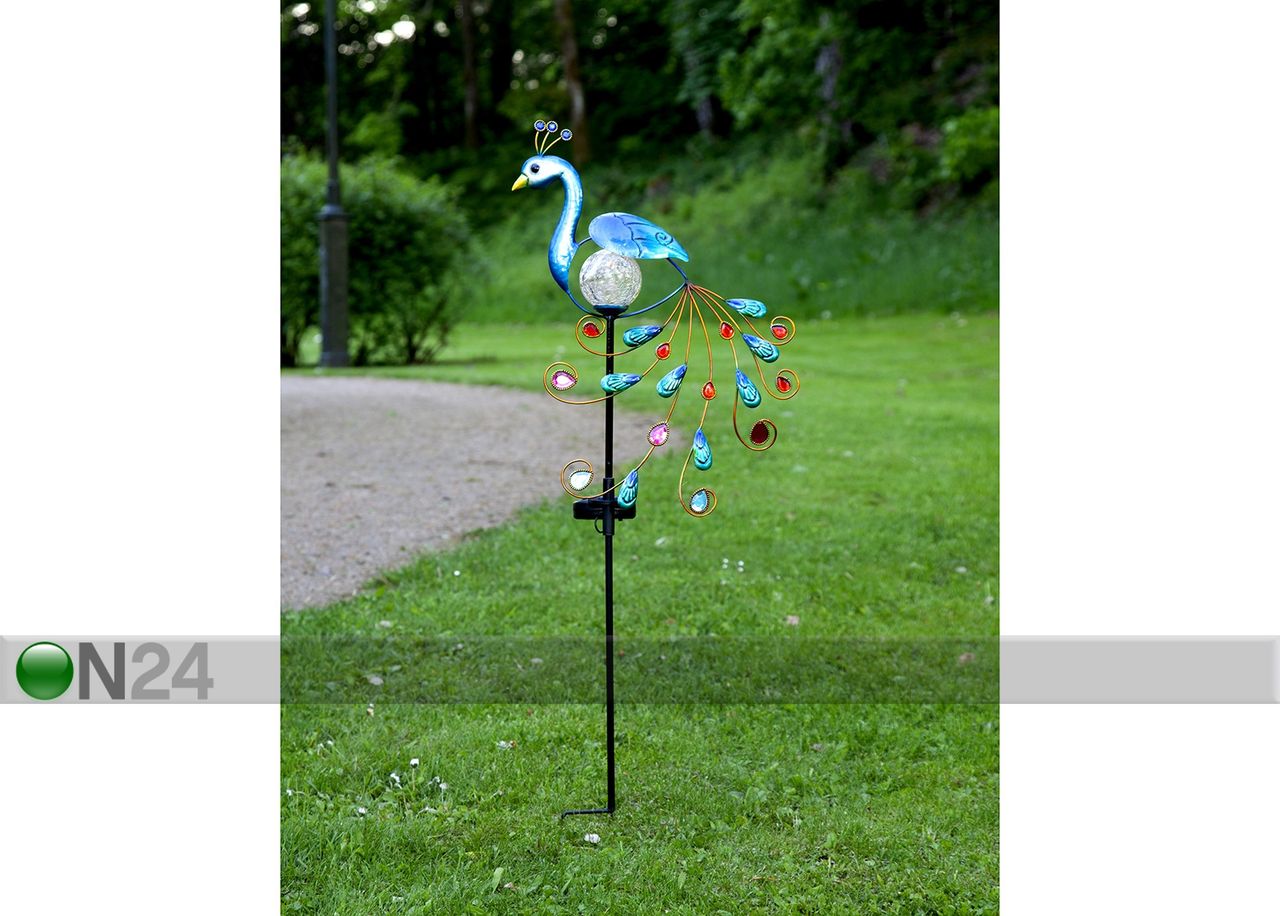 Aurinkokennovalaisin Peacock kuvasuurennos