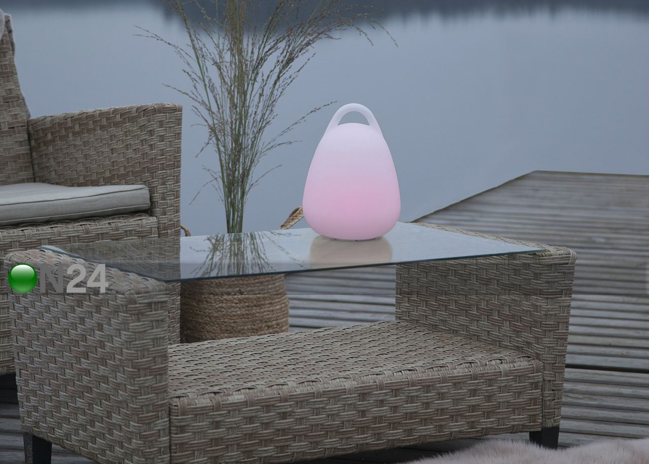 Dekoratiivi puutarhavalaisin Twilights kuvasuurennos