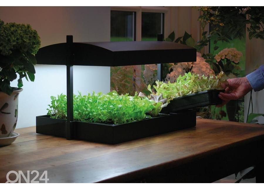 Esikasvatuslaatikko valaistuksella Micro Grow Light Garden 11 W, musta kuvasuurennos