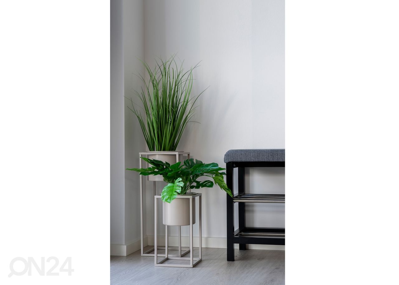 Eteispenkki Palmi 100 cm kuvasuurennos