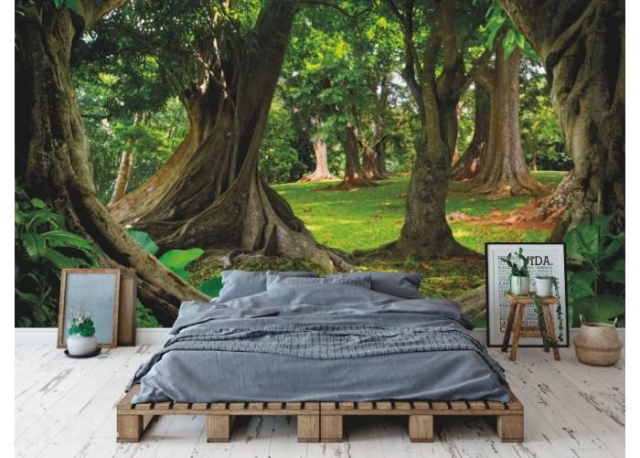 Fleece kuvatapetti Asian Jungle Forest 400x260 cm kuvasuurennos