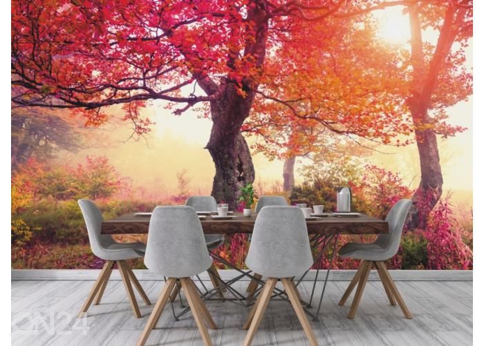 Fleece kuvatapetti Autumn Trees In Carpathians 368x254 cm kuvasuurennos