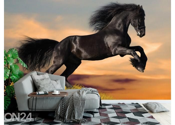 Fleece kuvatapetti Black Friesian Horse in Sunset 368x254 cm kuvasuurennos