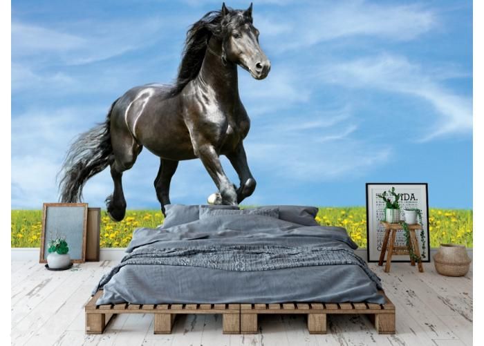 Fleece kuvatapetti Black Horse Runs Trot on the Meadow 368x254 cm kuvasuurennos