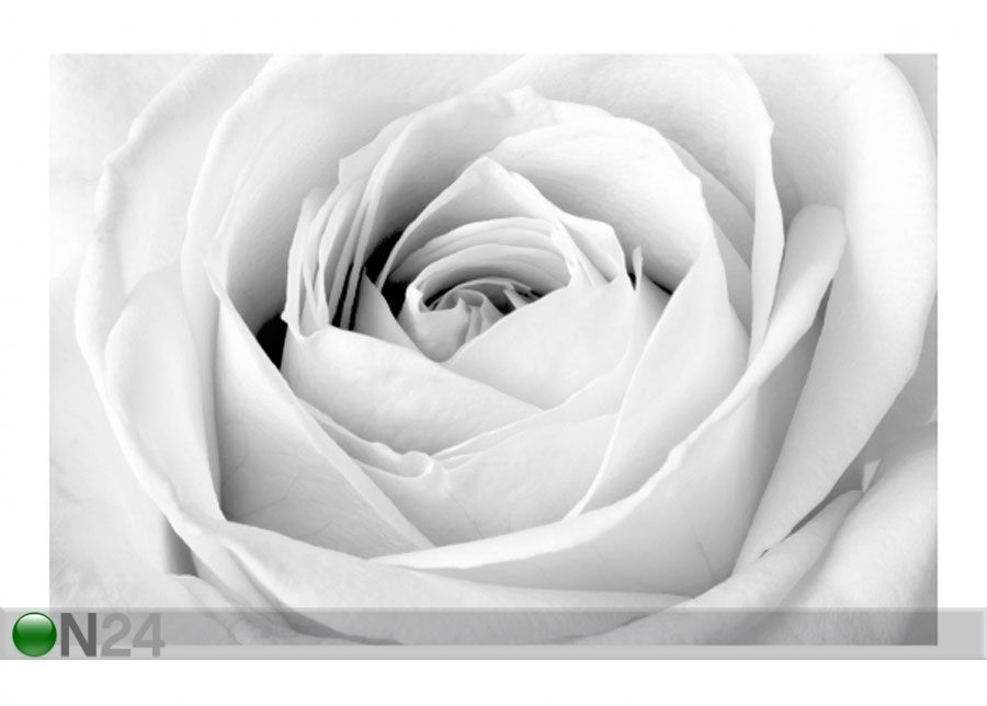 Fleece-kuvatapetti CLOSE UP ROSE kuvasuurennos