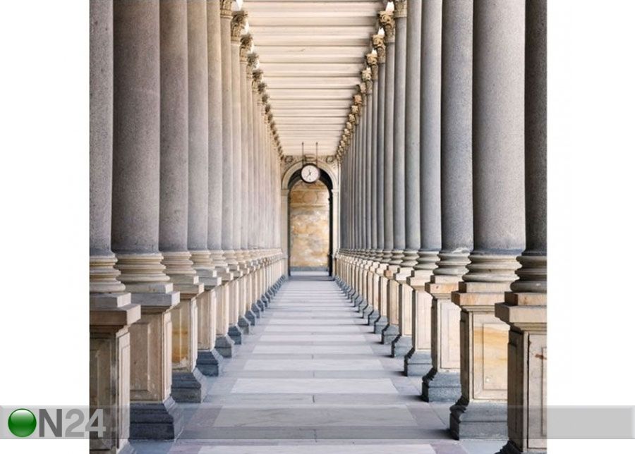 Fleece-kuvatapetti Columns in the Mill Colonnade in Karlovy Vary kuvasuurennos