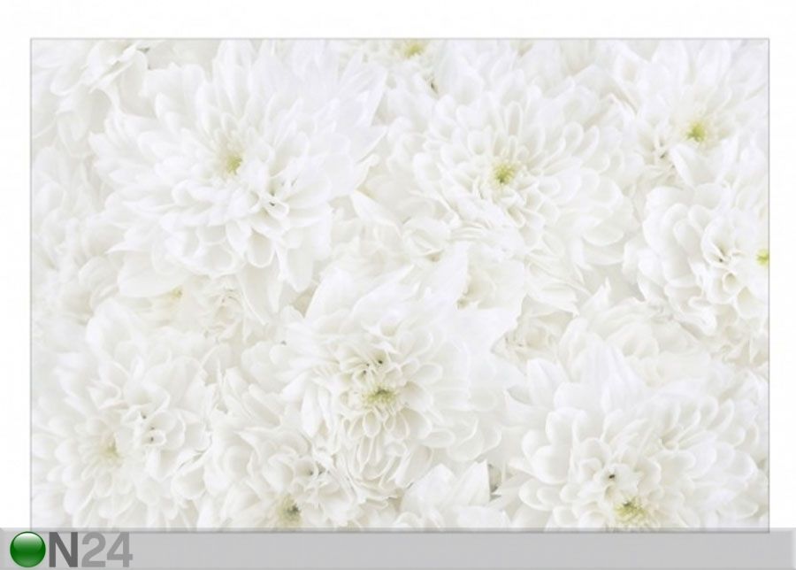 Fleece-kuvatapetti DAHLIAS SEA OF FLOWERS WHITE kuvasuurennos
