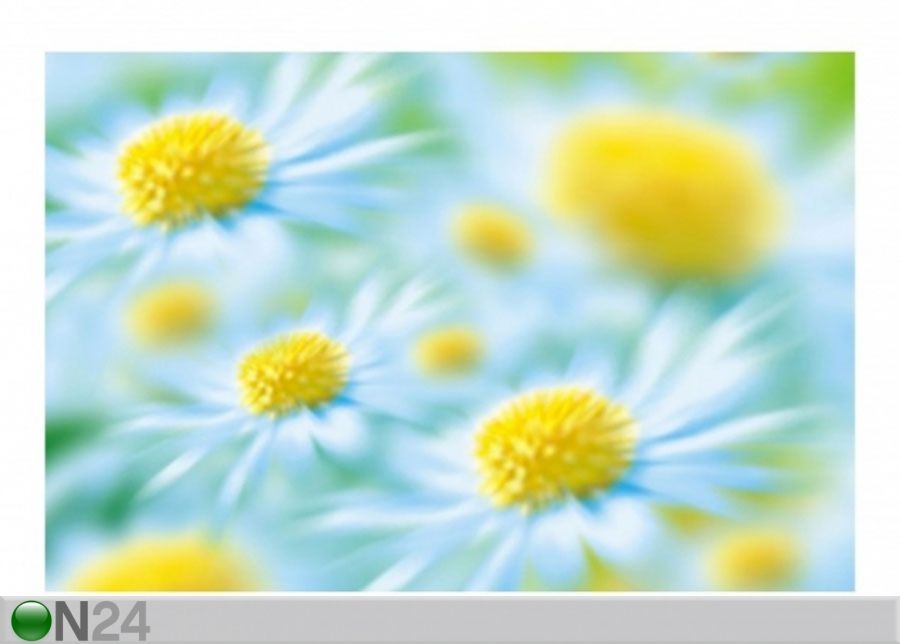 Fleece-kuvatapetti DAISY kuvasuurennos