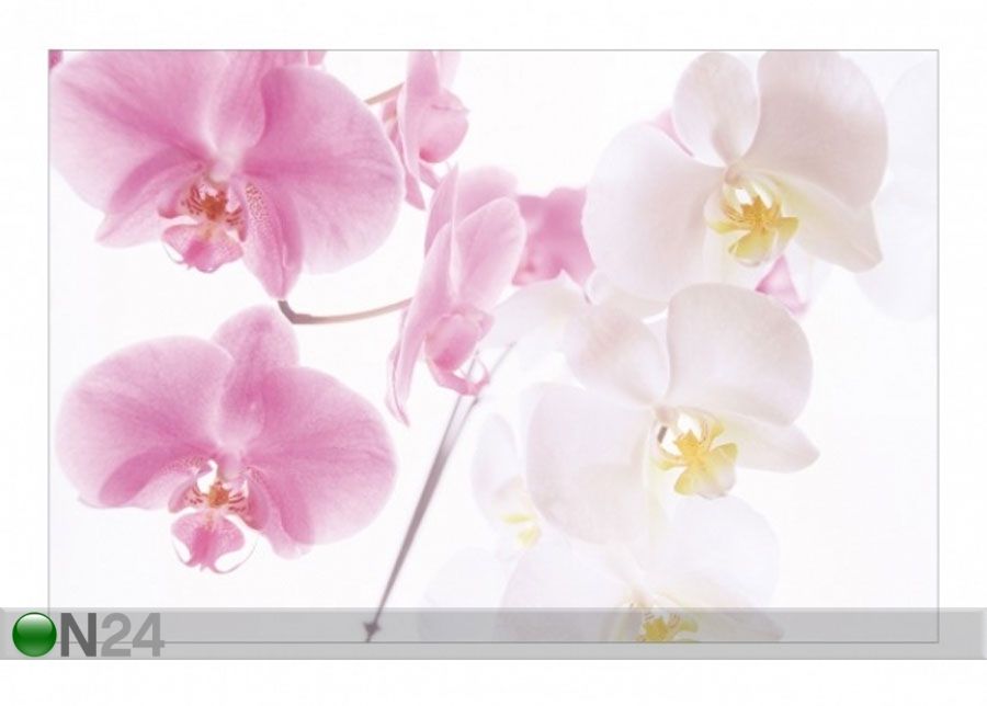 Fleece-kuvatapetti DELICATE ORCHIDS kuvasuurennos