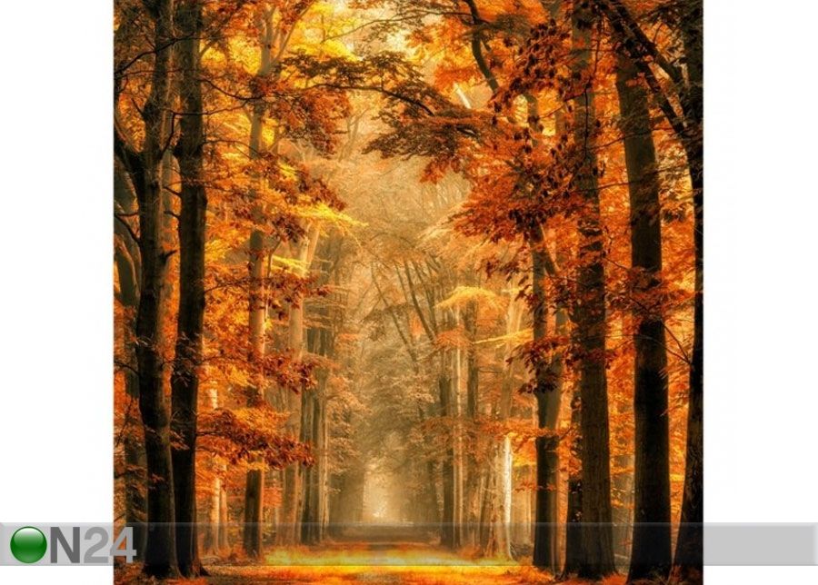 Fleece-kuvatapetti Fairy Forest in Autumn kuvasuurennos