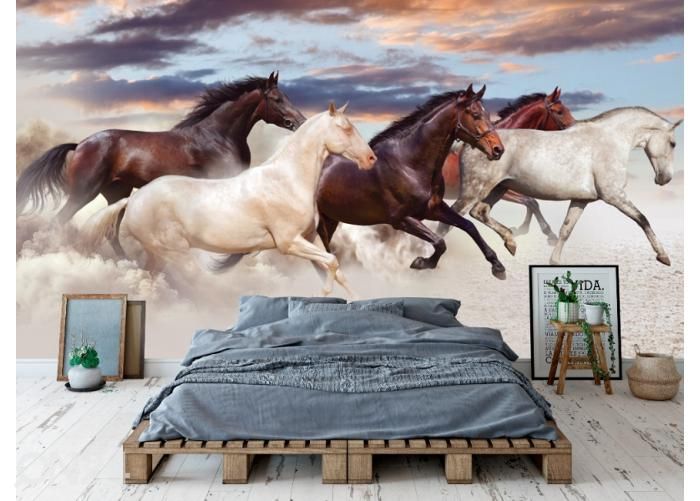 Fleece kuvatapetti Five Horses Run Gallop in Desert at Sunset 368x254 cm kuvasuurennos