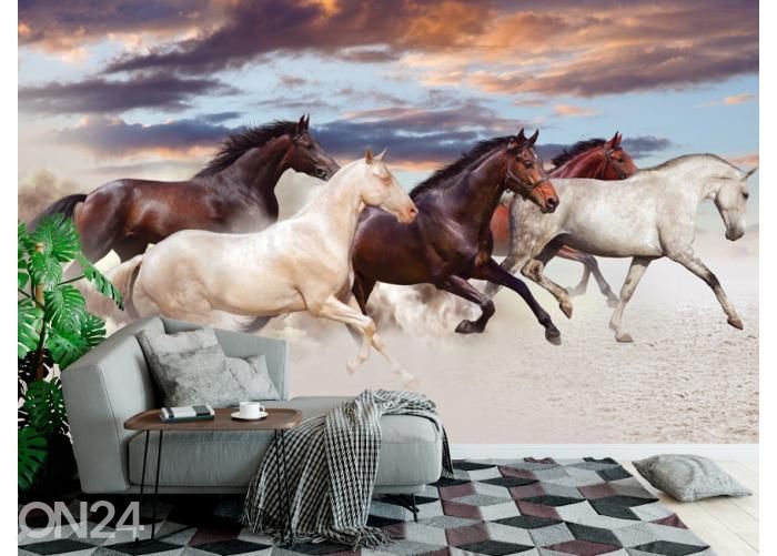 Fleece kuvatapetti Five Horses Run Gallop in Desert at Sunset 368x254 cm kuvasuurennos