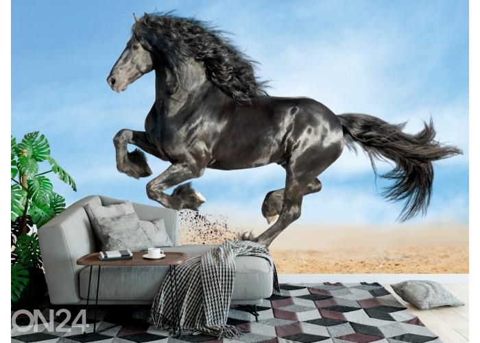Fleece kuvatapetti Frisian Black Horse 416x290 cm kuvasuurennos