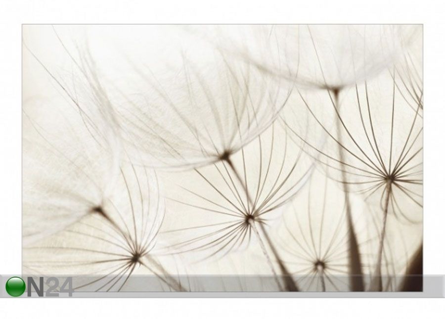 Fleece-kuvatapetti GENTLE GRASSES kuvasuurennos