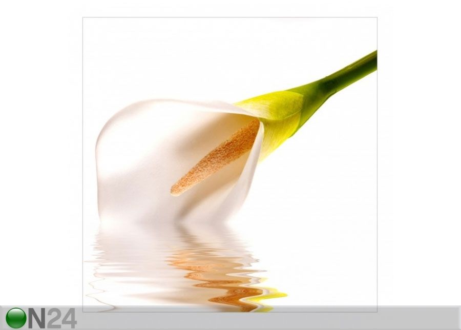 Fleece-kuvatapetti LIQUID CALLA kuvasuurennos