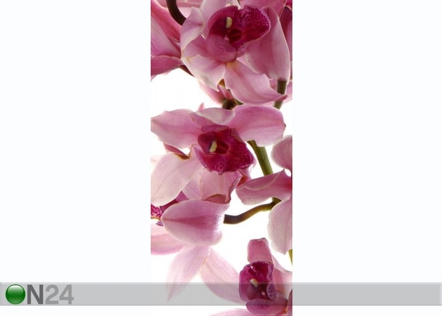 Fleece kuvatapetti Orchids 90x202 cm kuvasuurennos