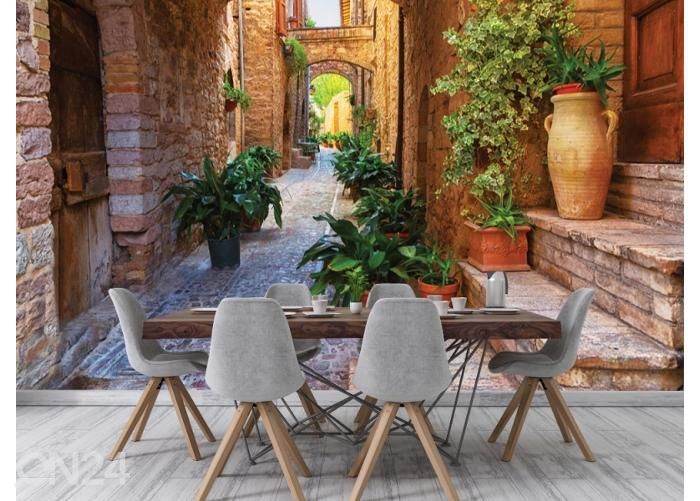 Fleece kuvatapetti Plants in Pots on Narrow Streets of the Ancient 400x260 cm kuvasuurennos
