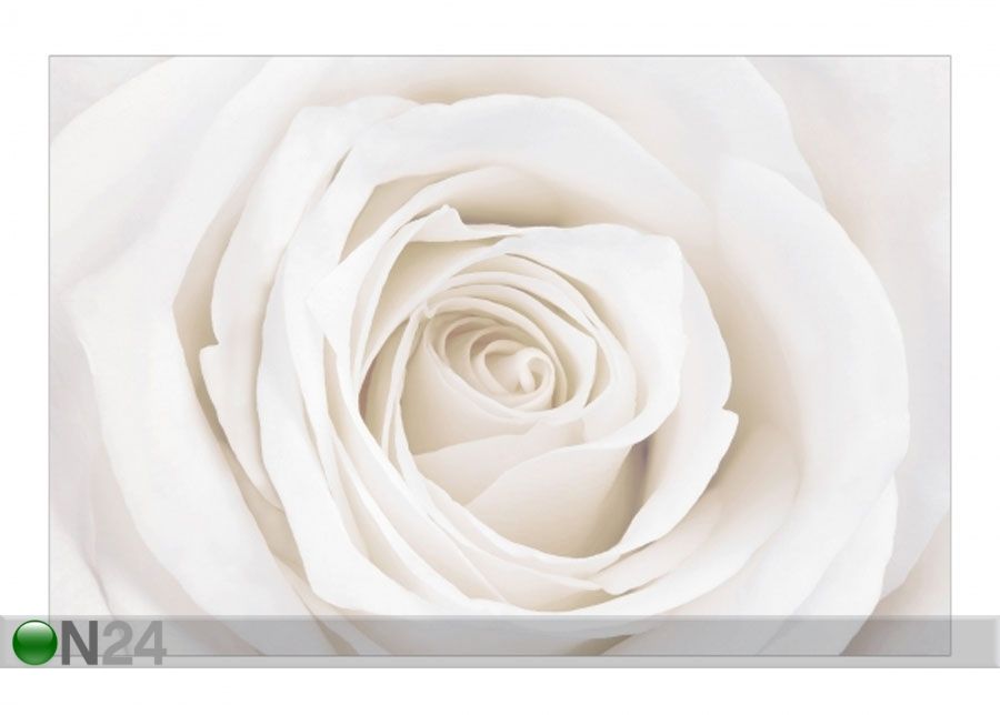 Fleece-kuvatapetti PRETTY WHITE ROSE kuvasuurennos