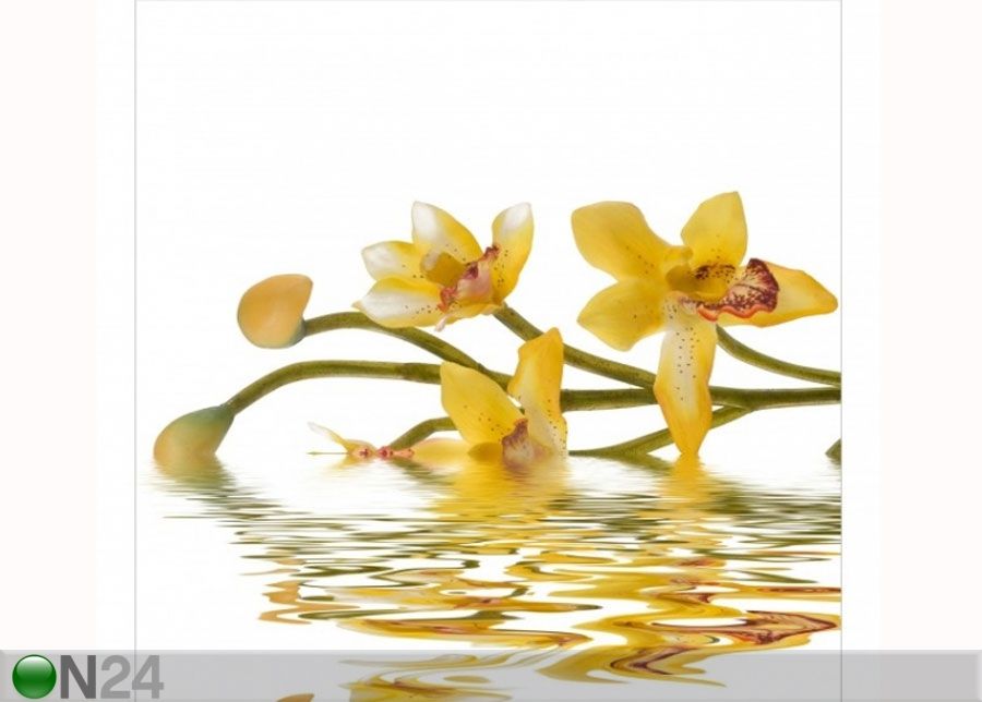 Fleece-kuvatapetti SAFFRON ORCHID WATERS kuvasuurennos