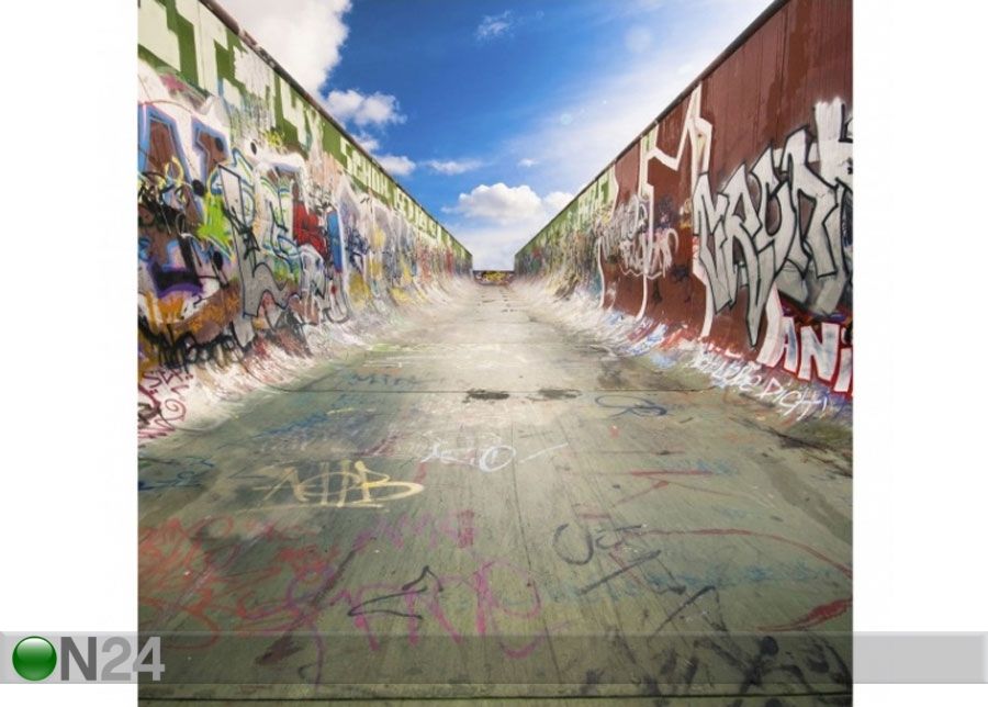Fleece-kuvatapetti Skate Graffiti kuvasuurennos