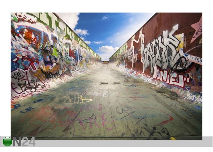 Fleece-kuvatapetti Skate Graffiti kuvasuurennos