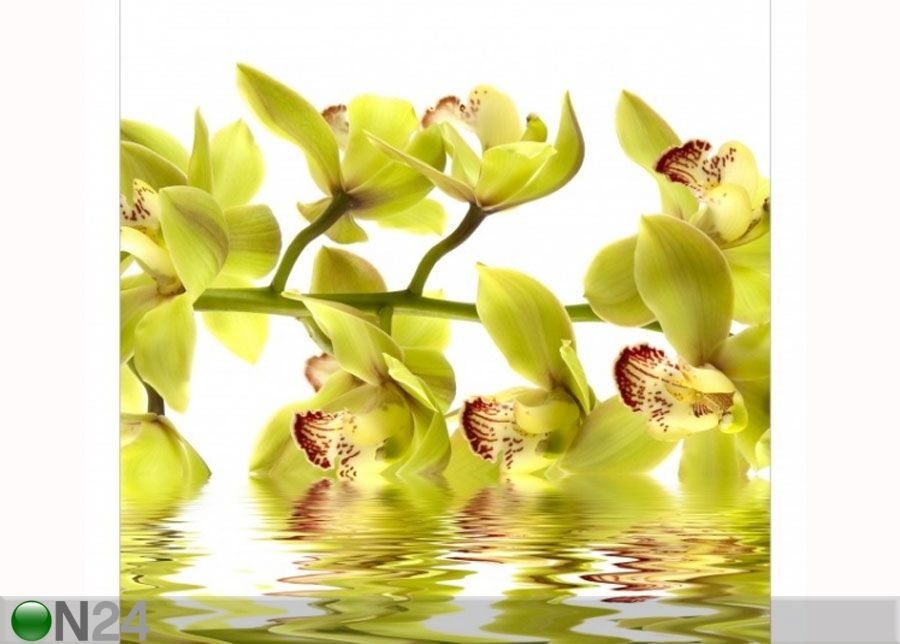 Fleece-kuvatapetti SPLENDID ORCHID WATERS kuvasuurennos